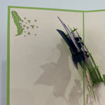 3D - Gekleurde Vogel Kolibri-