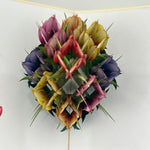 3D - Tulpen.