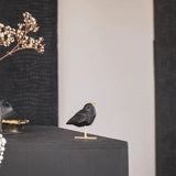 Liefdesvogel Zwart