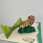 3D - Leeuw-
