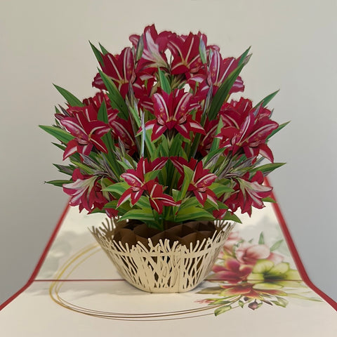 3D - Rode Bloemen.