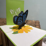 Pop-up kaart met vlinder op gele bloem