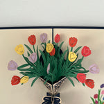3D - Tulpen 2.