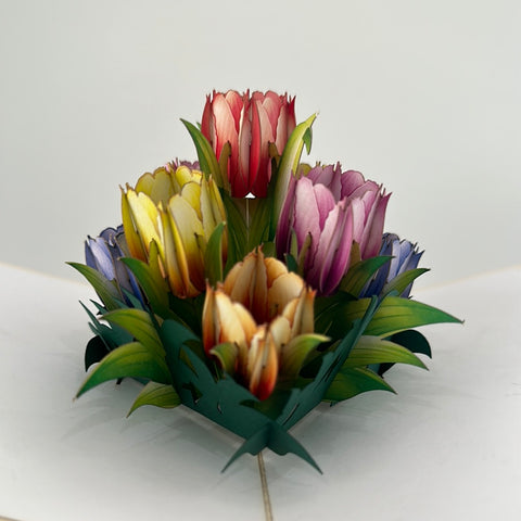3D - Tulpen.