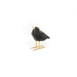 Liefdesvogel Zwart