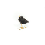 Liefdesvogel Zwart