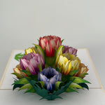 3D - Tulpen.