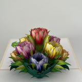 3D - Tulpen.