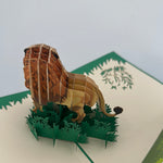 3D - Leeuw-
