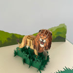 3D - Leeuw-
