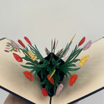 3D - Tulpen 2.
