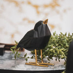 Liefdesvogel Zwart