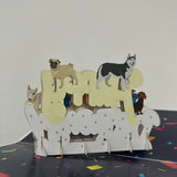 3D - Dogs Happy Birthday-