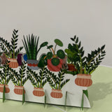 3D - Plants Happy Birthday-