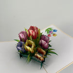 3D - Tulpen.