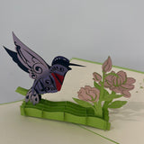 3D - Gekleurde Vogel Kolibri-