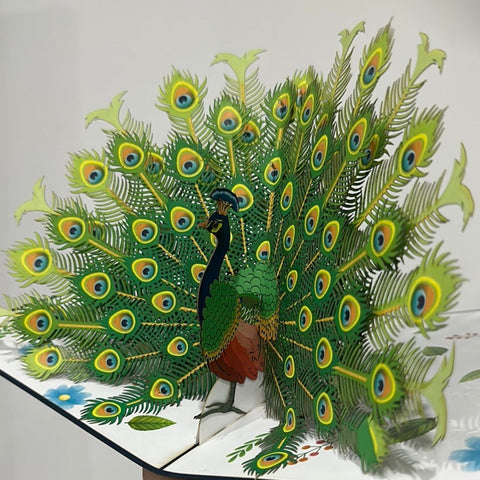 3D - Pauw-