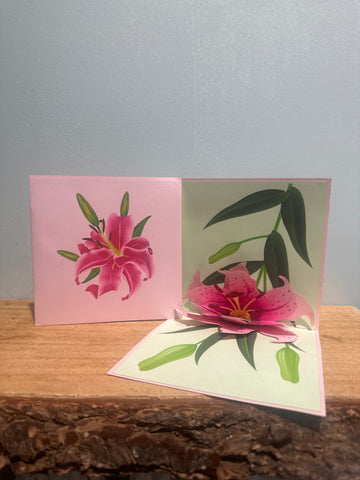 3D - Pink Flower