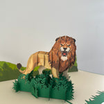 3D - Leeuw-