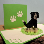 3D - Speelse vriend