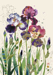 Bug Art - Mixed Irises