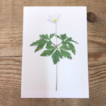 Single Flower 3132
