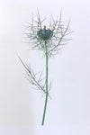 Single Flower 3116
