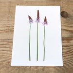 Single Flower 3137