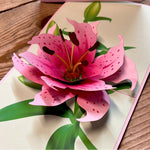 3D Kaart-Double lilies.