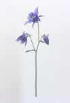 Single Flower 3118
