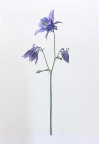 Single Flower 3118