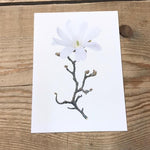 Single Flower 3195