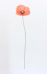 Single Flower 3120