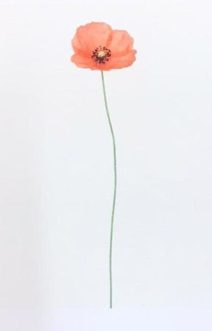 Single Flower 3120