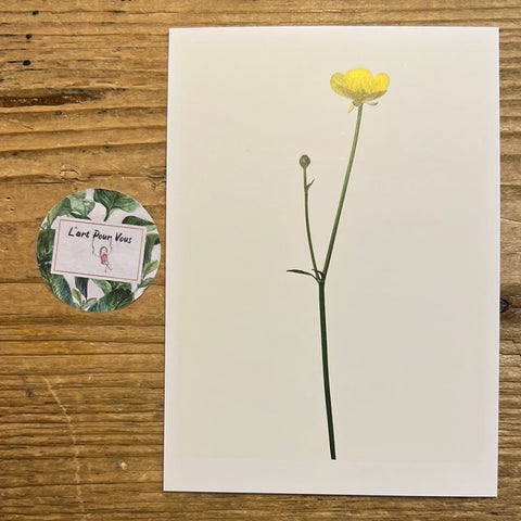 Single Flower 3126