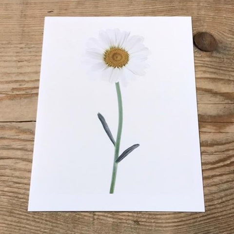 Single Flower 3148