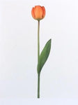 Single Flower 3177