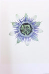 Single Flower 3250