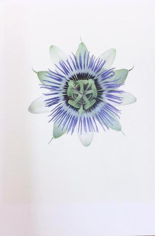 Single Flower 3250