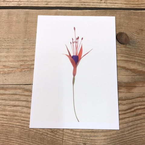 Single Flower 3145